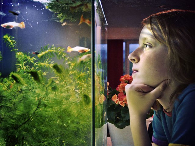 My first aquarium: Choice and considerations