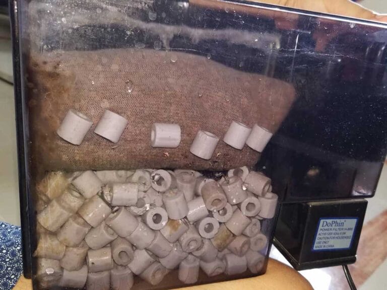 Filter Media in Aquariums