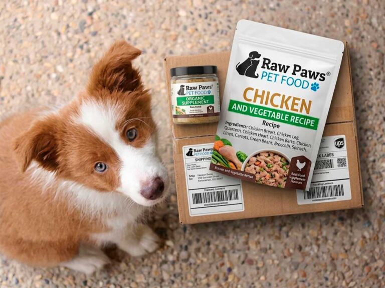 BARF Diet for Puppies: Complete Feeding Guide