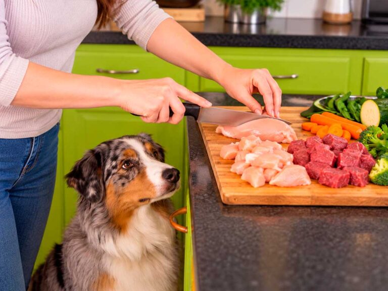 Homemade Raw Dog Food