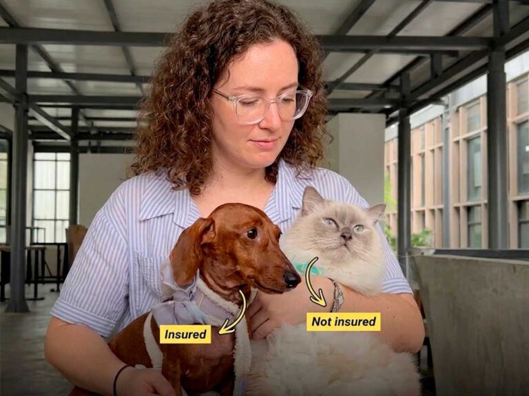 Is Pet Insurance Worth It? A Real Answer, Not a Sales Pitch