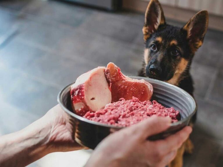Raw Feeding Chart: How Much to Feed Your Dog by Weight