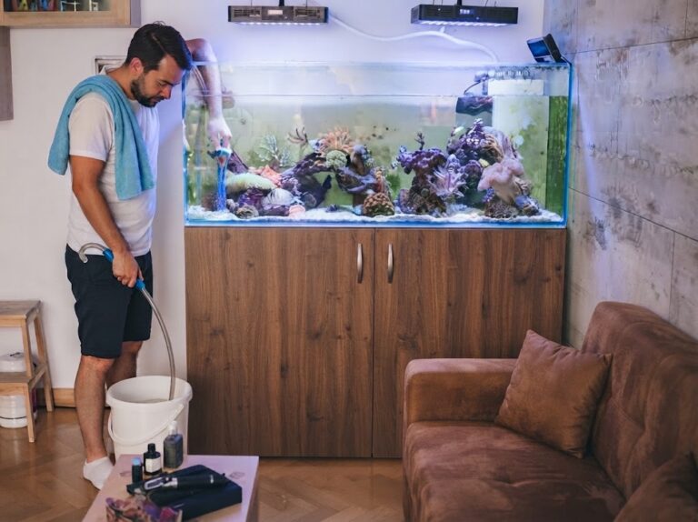 Saltwater Aquarium Maintenance: The Complete Checklist