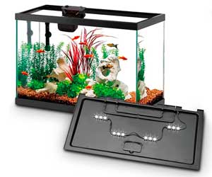 Aqueon aquarium starter kit with Smart Clean filtration and LED lighting