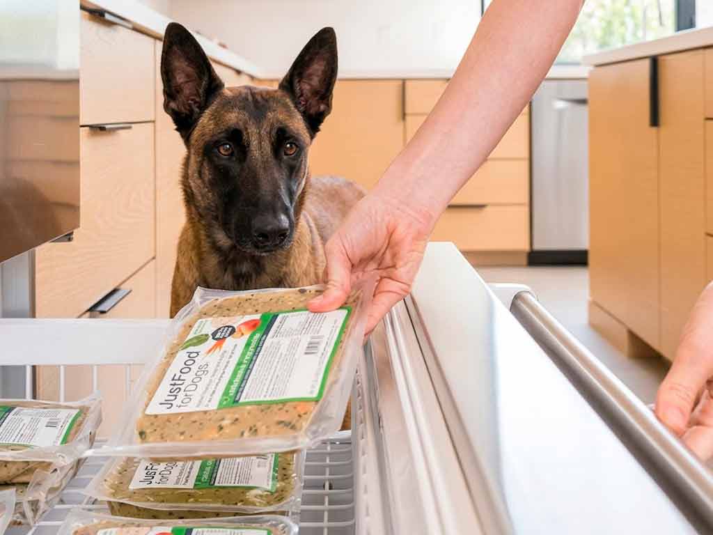 Best Dog Food for Sensitive Stomach: What Actually Helps