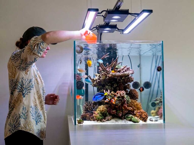 Fish Food Guide aquarium