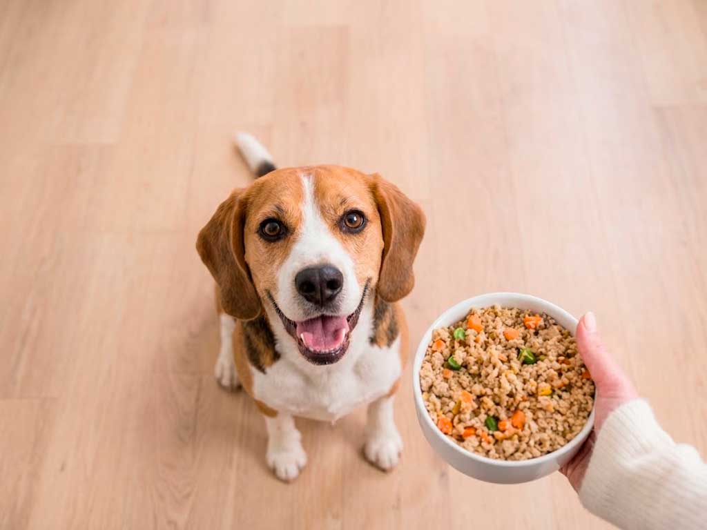 JustFoodForDogs Feeding Guide: How Much to Feed by Weight