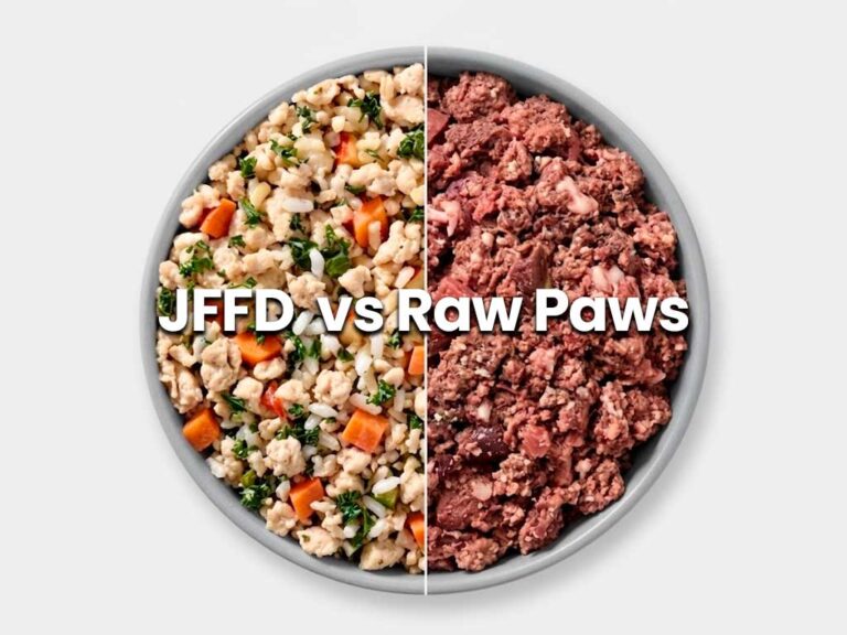 Raw Paws vs JustFoodForDogs: Raw or Fresh Cooked?
