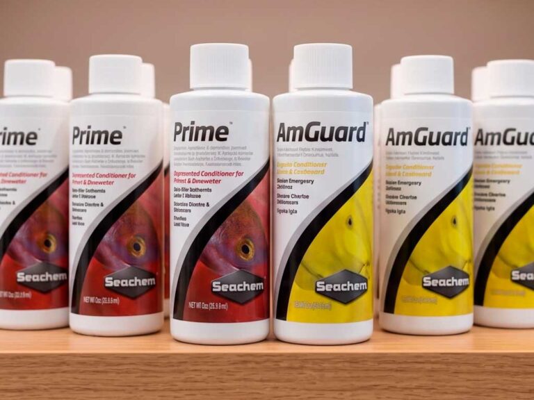 Seachem Prime vs Amguard: Which One Do You Actually Need?
