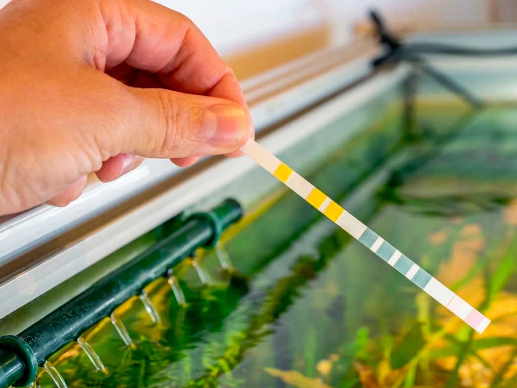 Tetra EasyStrips & Aquarium Water Testing Guide