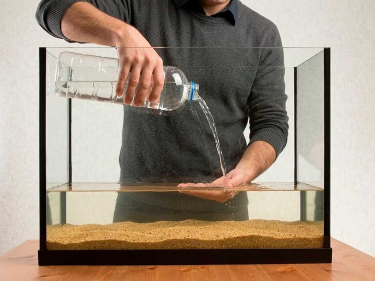 Tetra Water Conditioners: How to Treat Aquarium Water the Right Way