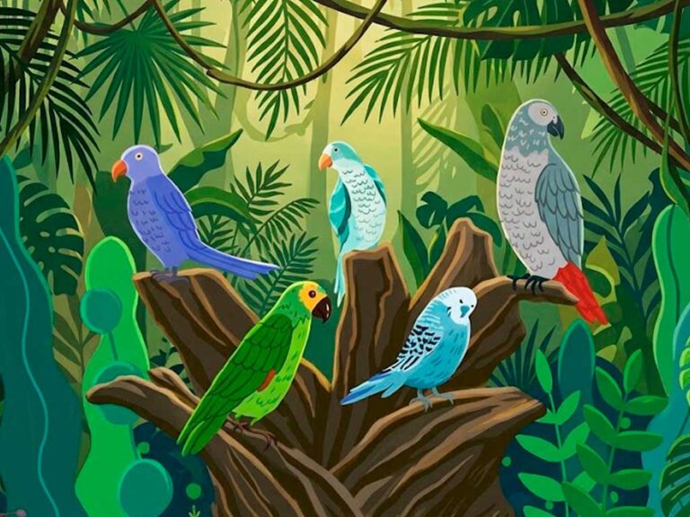 Types of Pet Parrots: The Complete Guide to Choosing Your Companion Bird
