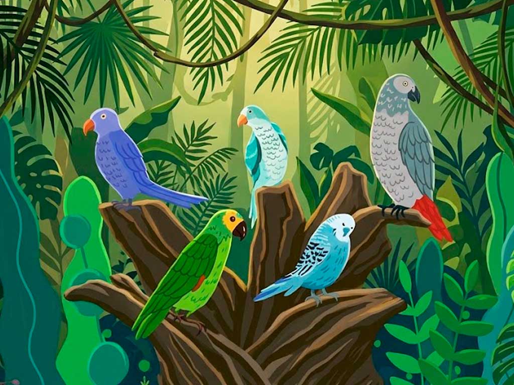 Types of Pet Parrots: The Complete Guide to Choosing Your Companion Bird