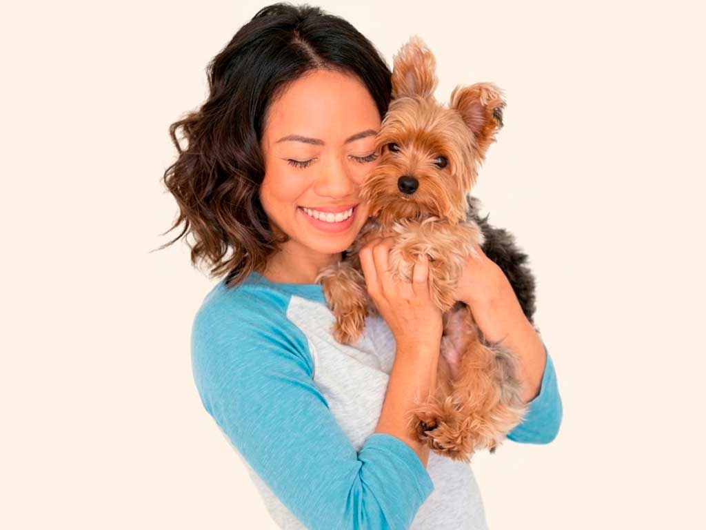 dog breeds happy pet zone