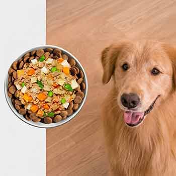 JustFoodForDogs Fresh Frozen dog food