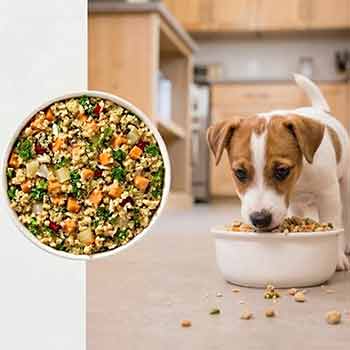 JustFoodForDogs Fresh Frozen dog food
