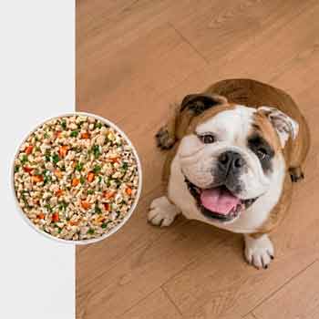 JustFoodForDogs Fresh Frozen dog food