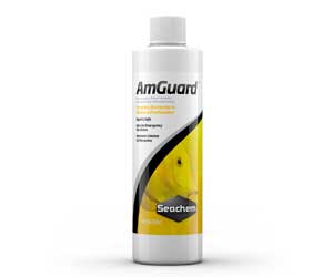 Seachem AmGuard ammonia detoxifier for aquariums