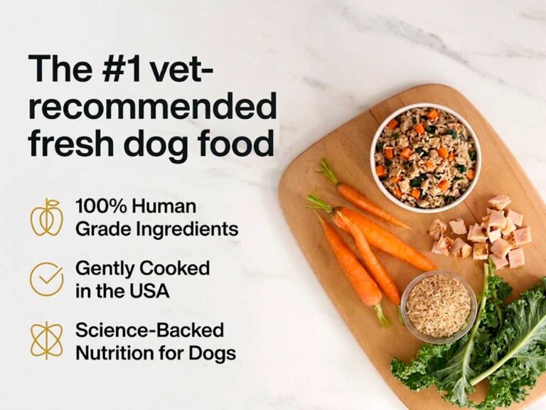 just food for dogs
