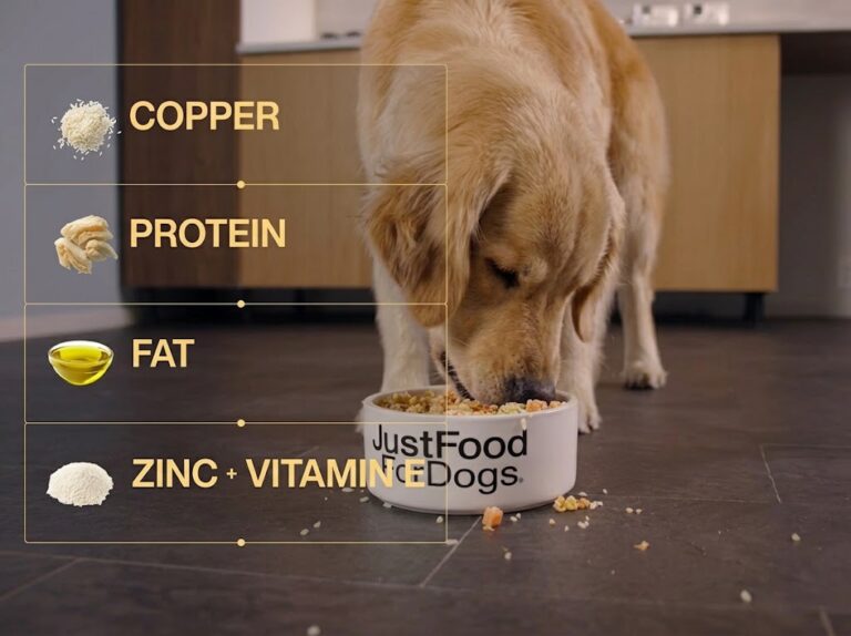 Hepatic Support Dog Food