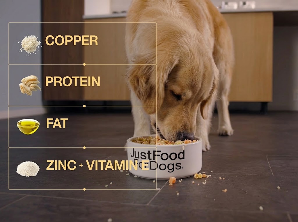 Hepatic Support Dog Food