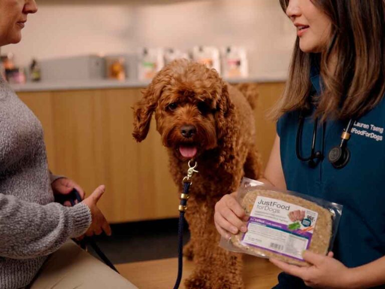 Renal Support Dog Food: Just Food For Dogs