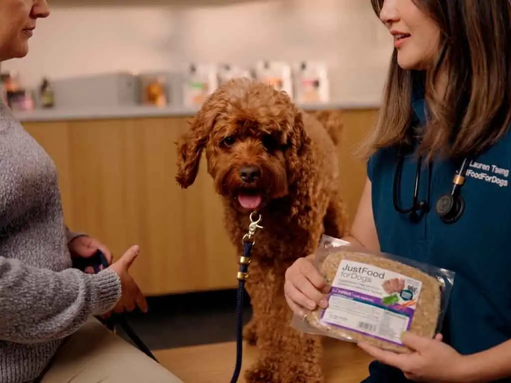 Renal Support Dog Food: Just Food For Dogs