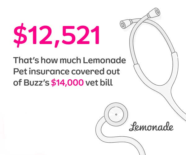 Lemonade Pet Insurance