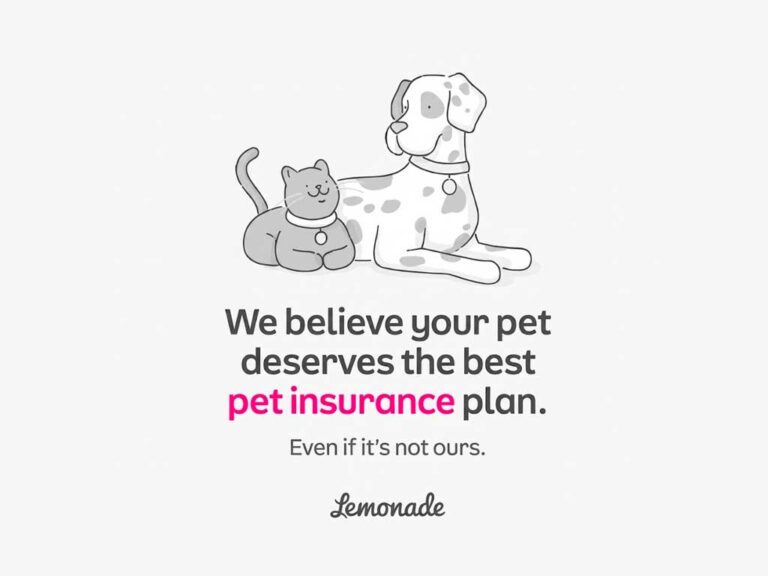 lemonade pet insurance